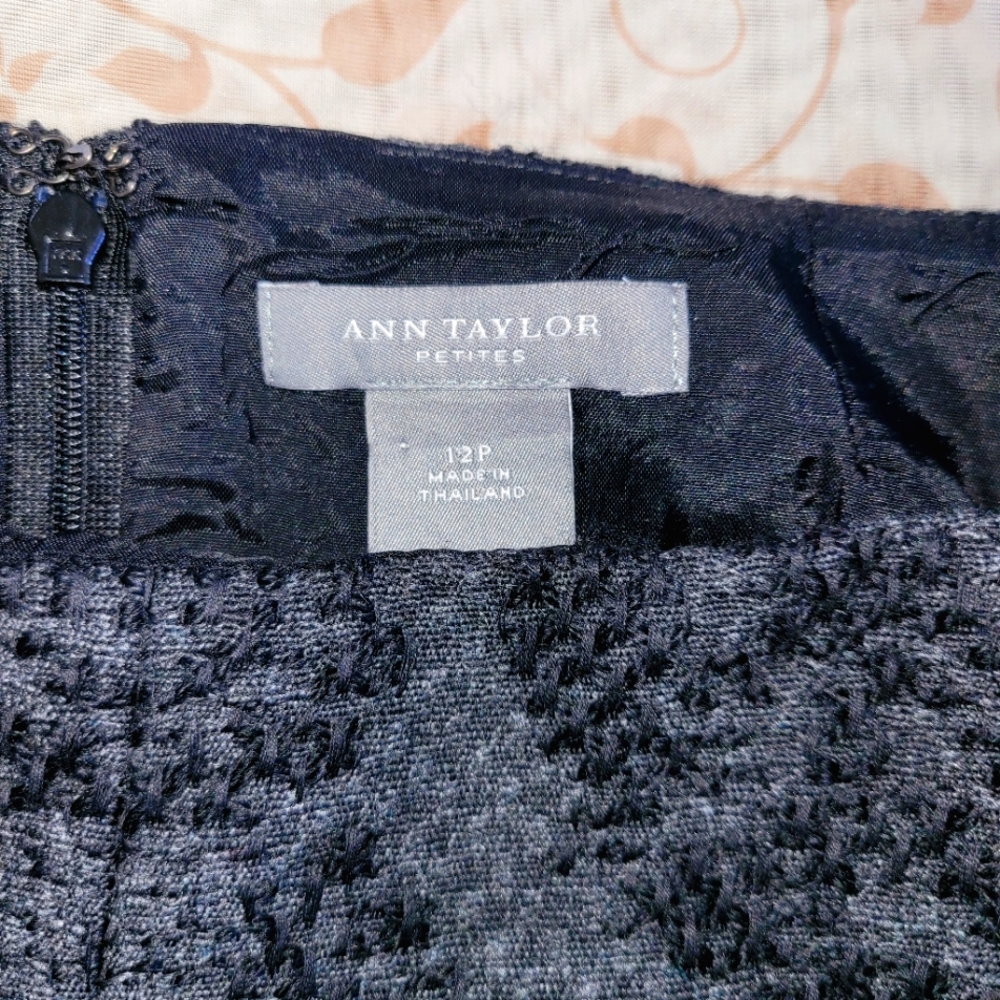 ANN TAYLOR   Skirt